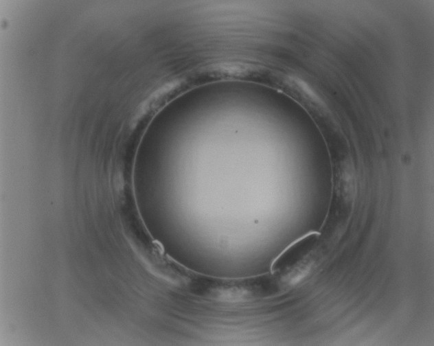 X0000062890500200601201849