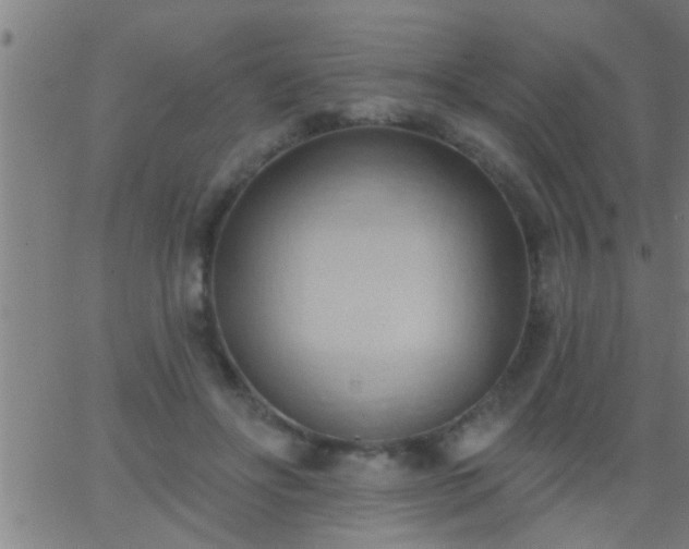 X0000062890502200601201849