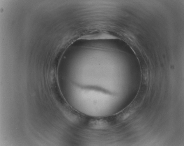 X0000062890503200601201849