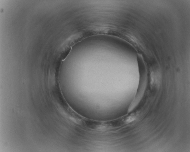 X0000062890504200601201849