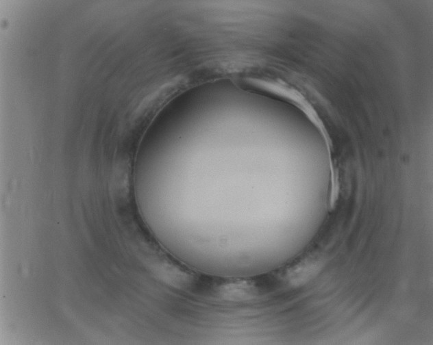 X0000062890505200601201849