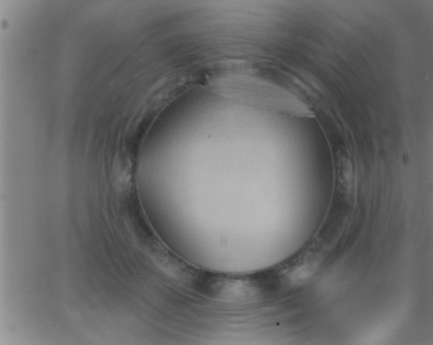 X0000062890507200601201849