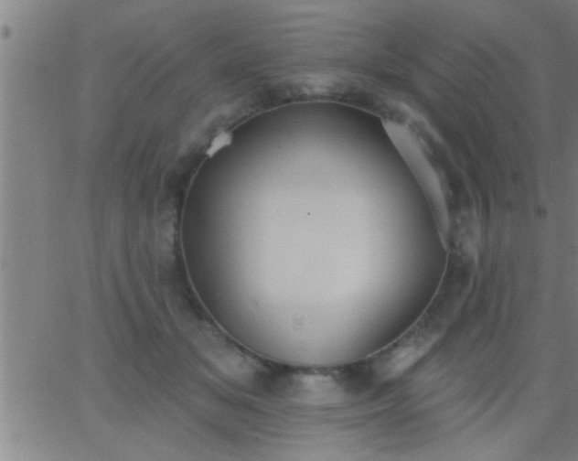 X0000062890509200601201849