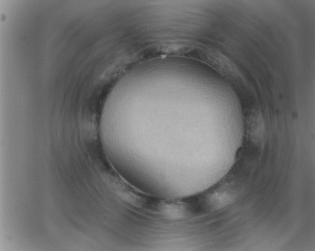 X0000062890510200601201849