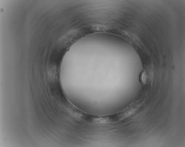 X0000062890511200601201849