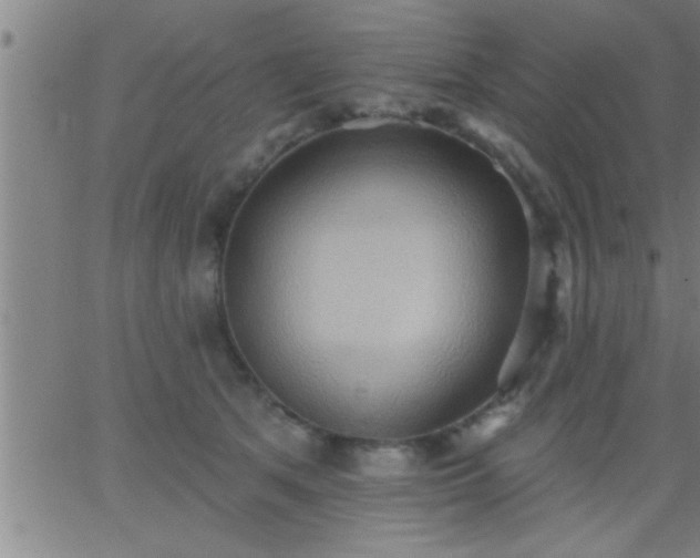 X0000062890513200601201849