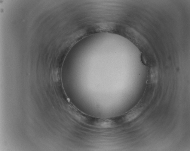 X0000062890514200601201849