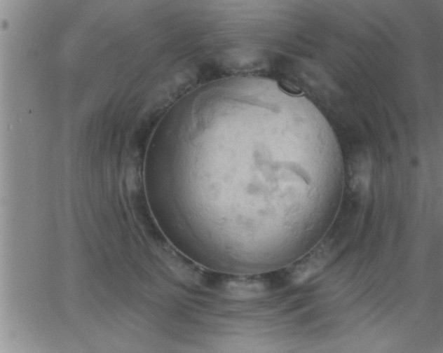 X0000062890515200601201849