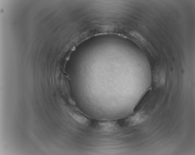 X0000062890516200601201849