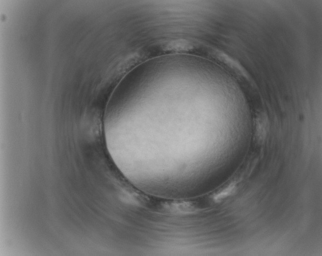 X0000062890517200601201849