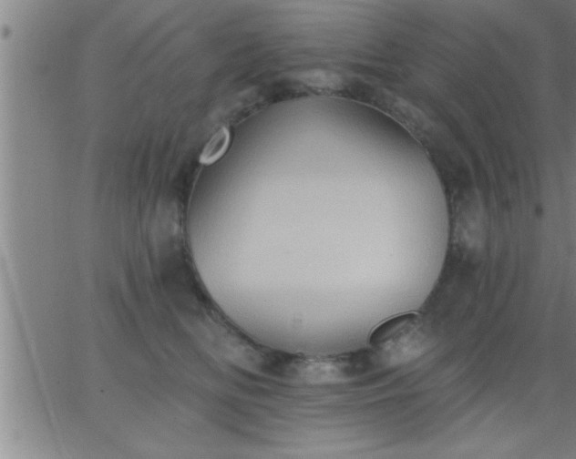 X0000062890518200601201849