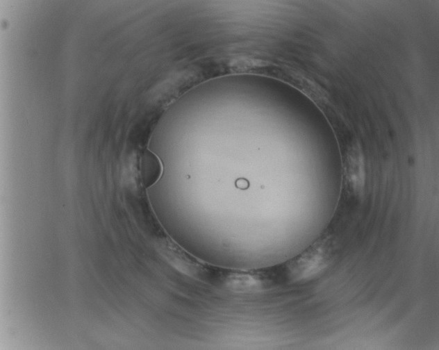 X0000062890519200601201849