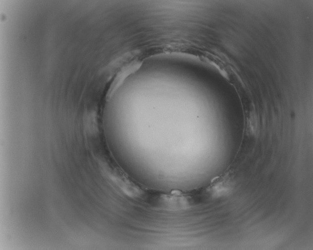 X0000062890520200601201849