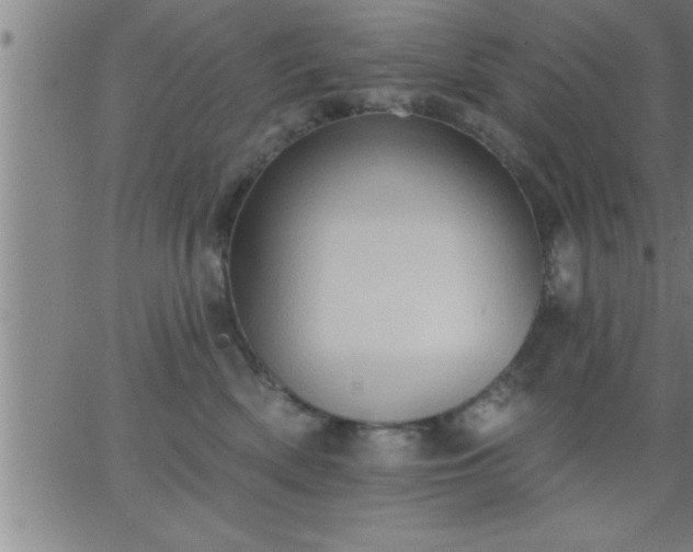 X0000062890522200601201849