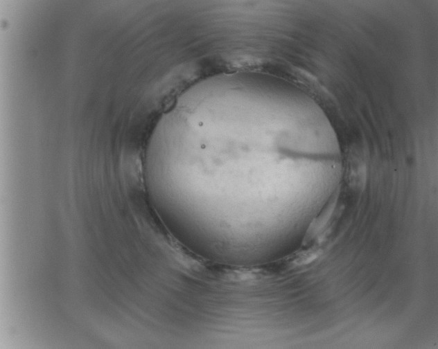 X0000062890523200601201849