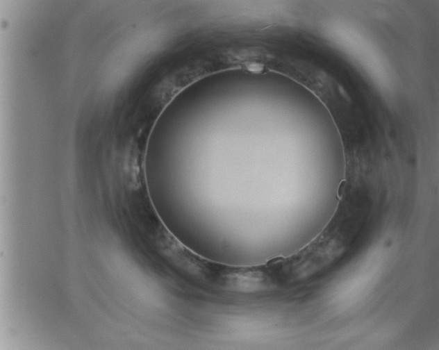 X0000062890525200601201849