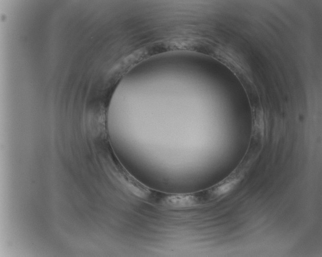 X0000062890526200601201849