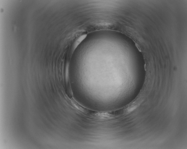 X0000062890528200601201849