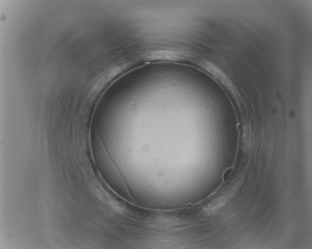 X0000062890529200601201848