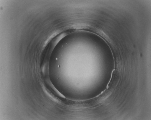 X0000062890530200601201848