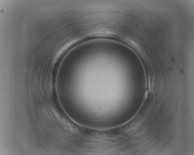 X0000062890531200601201848