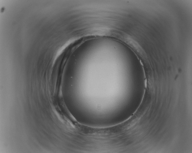 X0000062890532200601201848