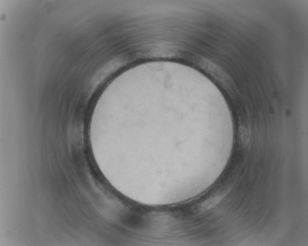 X0000062890534200601201848