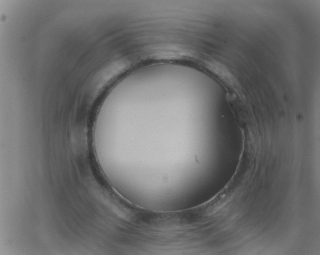 X0000062890535200601201848