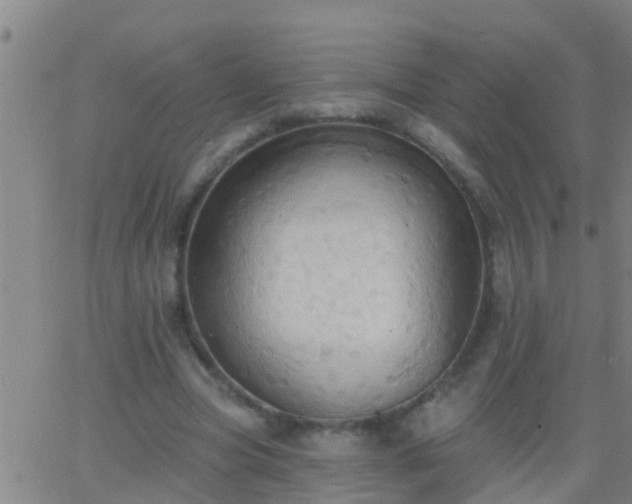 X0000062890537200601201848