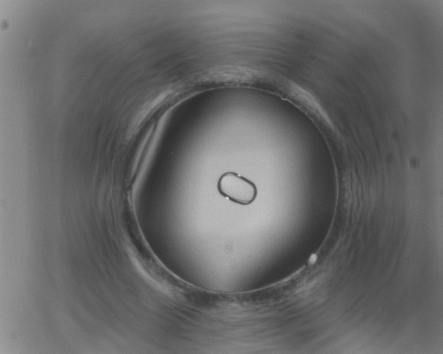 X0000062890538200601201848