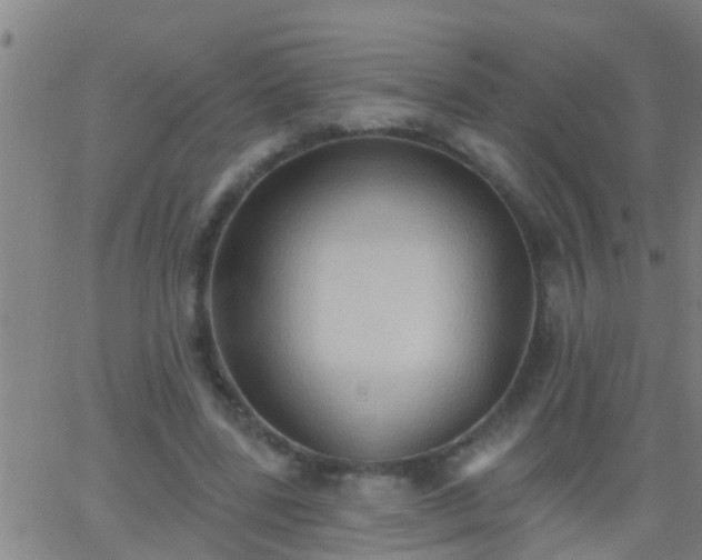 X0000062890539200601201848