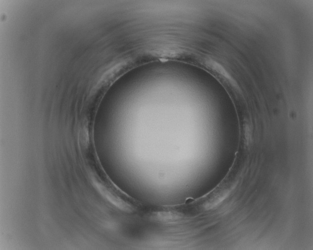 X0000062890541200601201848