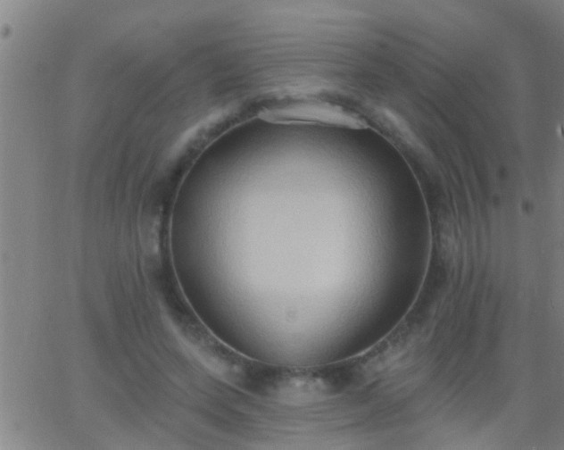 X0000062890543200601201848