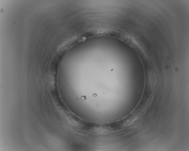 X0000062890545200601201848