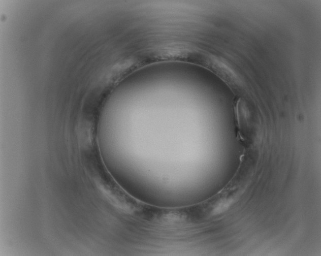 X0000062890546200601201848