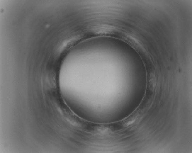 X0000062890547200601201848