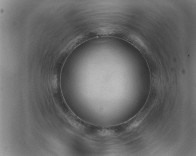 X0000062890549200601201848