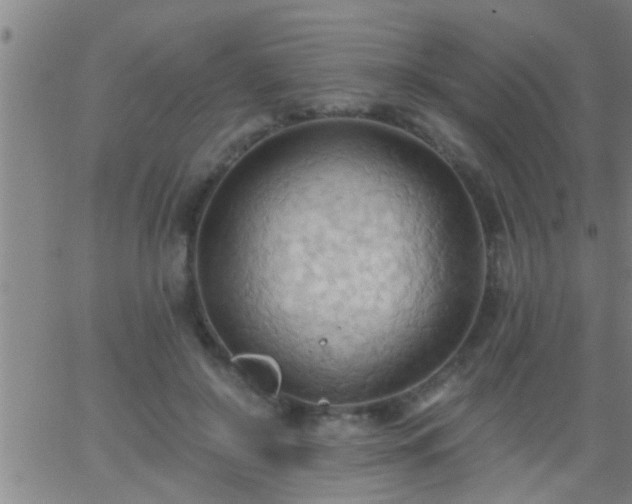 X0000062890550200601201848