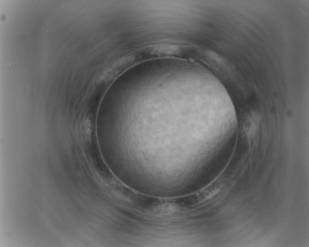 X0000062890551200601201848