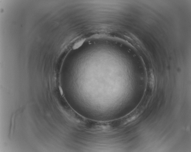 X0000062890552200601201848