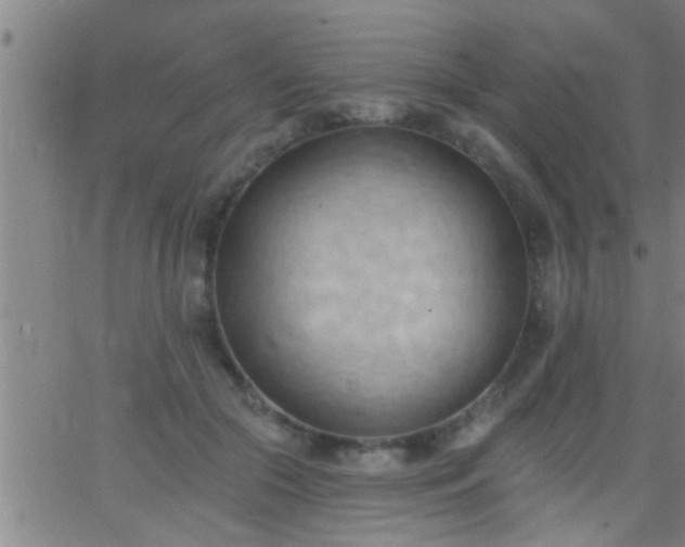 X0000062890553200601201848