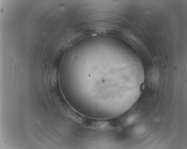 X0000062890554200601201848