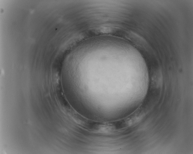 X0000062890555200601201848