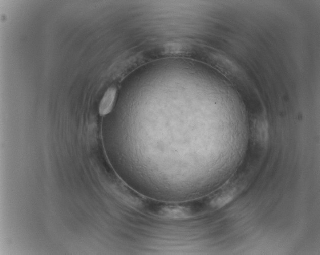 X0000062890557200601201848