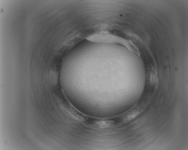 X0000062890558200601201848