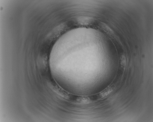 X0000062890559200601201848