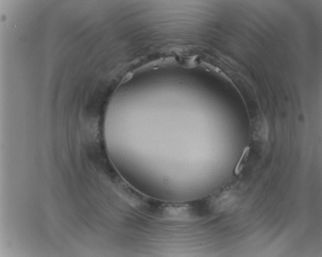 X0000062890560200601201848