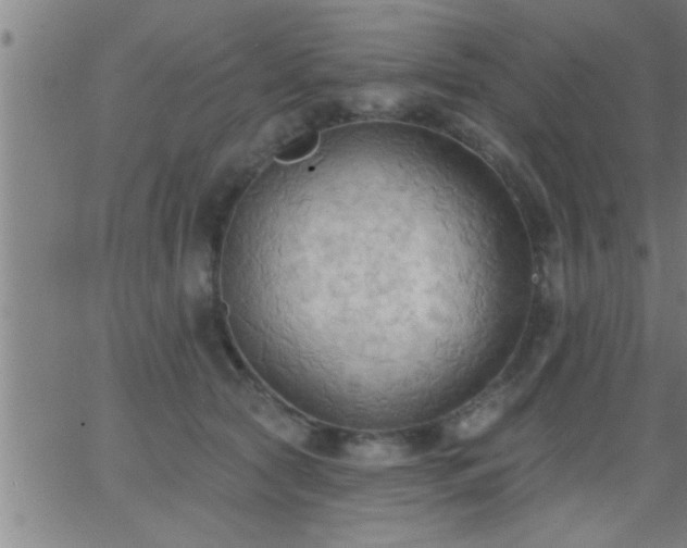 X0000062890561200601201848