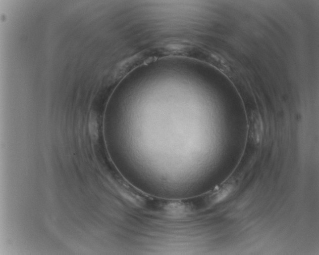 X0000062890562200601201848