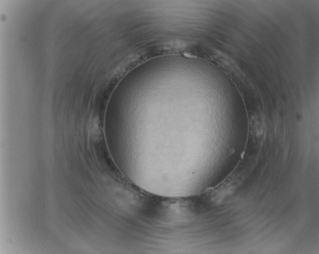 X0000062890564200601201848